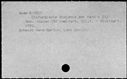 00384965.jpg