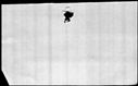 00387444.jpg