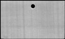 00388216.jpg