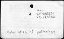 00186062.jpg