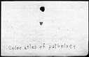 00186064.jpg