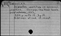 00186363.jpg