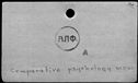 00187304.jpg