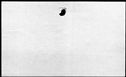 00187454.jpg