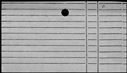 00524554.jpg