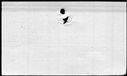 00524886.jpg