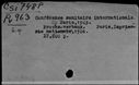 00525591.jpg