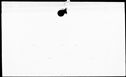 00389724.jpg