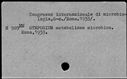 00391337.jpg