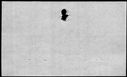 00392364.jpg