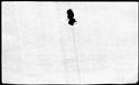 00392596.jpg