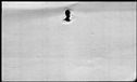 00188294.jpg
