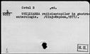 00188339.jpg