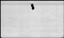 00188482.jpg