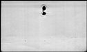 00188976.jpg