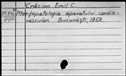 00189069.jpg