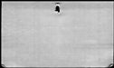 00189172.jpg