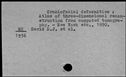 00189275.jpg
