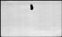 00189324.jpg