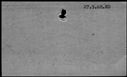 00189328.jpg
