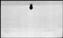 00189370.jpg