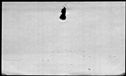 00189478.jpg