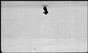 00189496.jpg