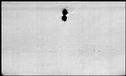 00189564.jpg
