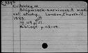 00189735.jpg