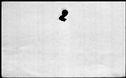 00189738.jpg