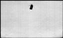 00189890.jpg