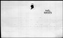 00189898.jpg