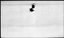 00189974.jpg