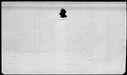 00190028.jpg