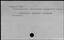 00190203.jpg