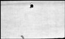 00190290.jpg