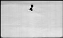 00190324.jpg