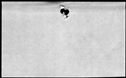 00487630.jpg