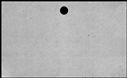 00487654.jpg