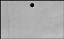 00488654.jpg