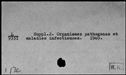 00406177.jpg