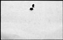 00190740.jpg