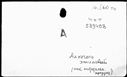 00190910.jpg