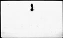 00191120.jpg
