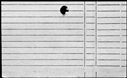 00191364.jpg