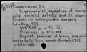 00191939.jpg