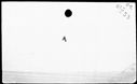 00191968.jpg