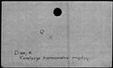 00192516.jpg