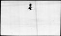 00192976.jpg