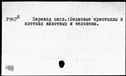 00193343.jpg
